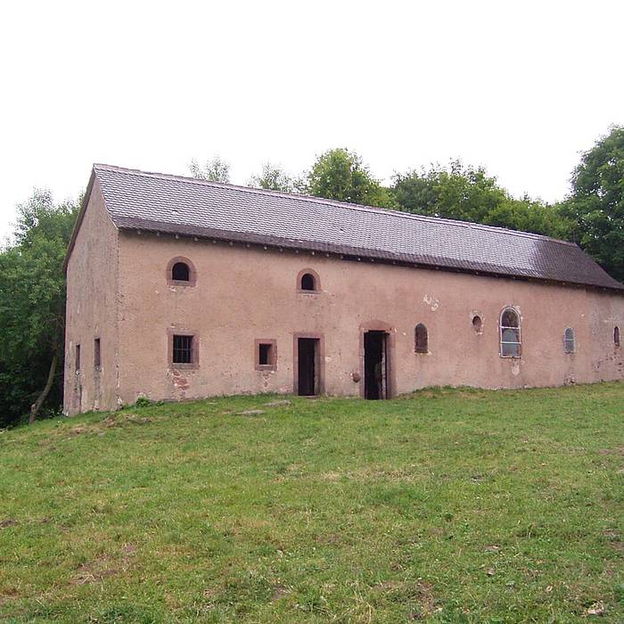 Photo de Château de Guirbaden